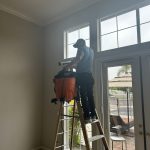 Imagen de WhatsApp 2025-05-17 a las 15.09.57_e0929469